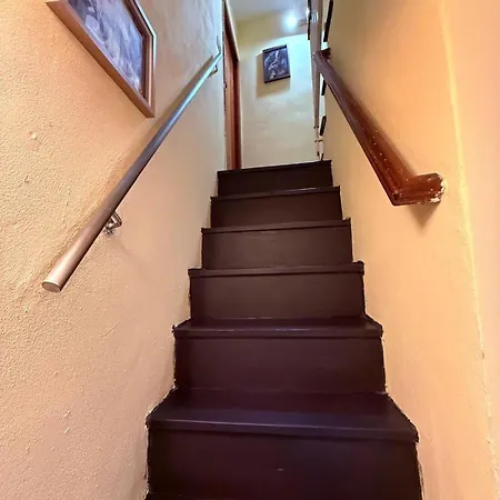 Jungle - In דירה